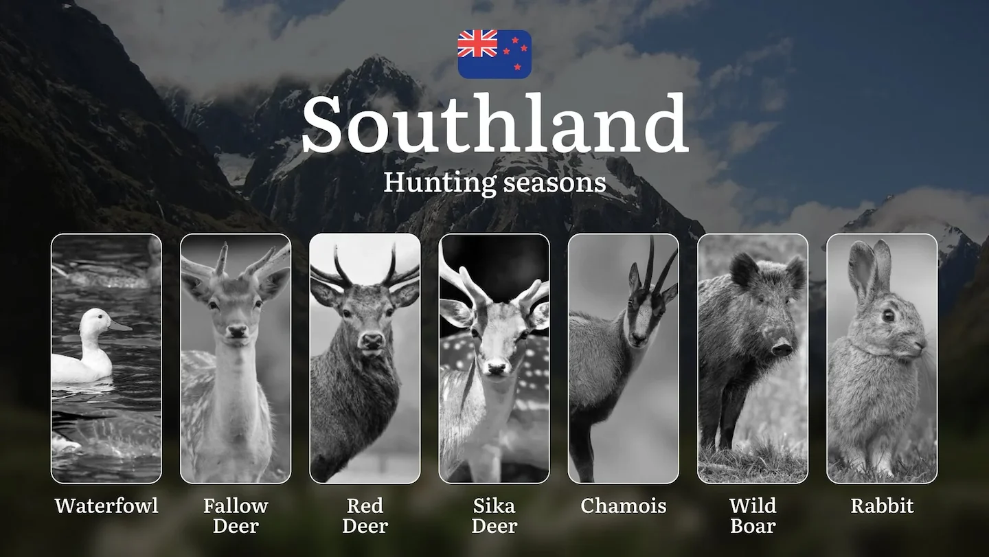 SOUTHLAND Region in New Zealand – Hunting Seasons, Rules, Licenses and Tips, Tactics, Gear, and Timing, Restrictions and…