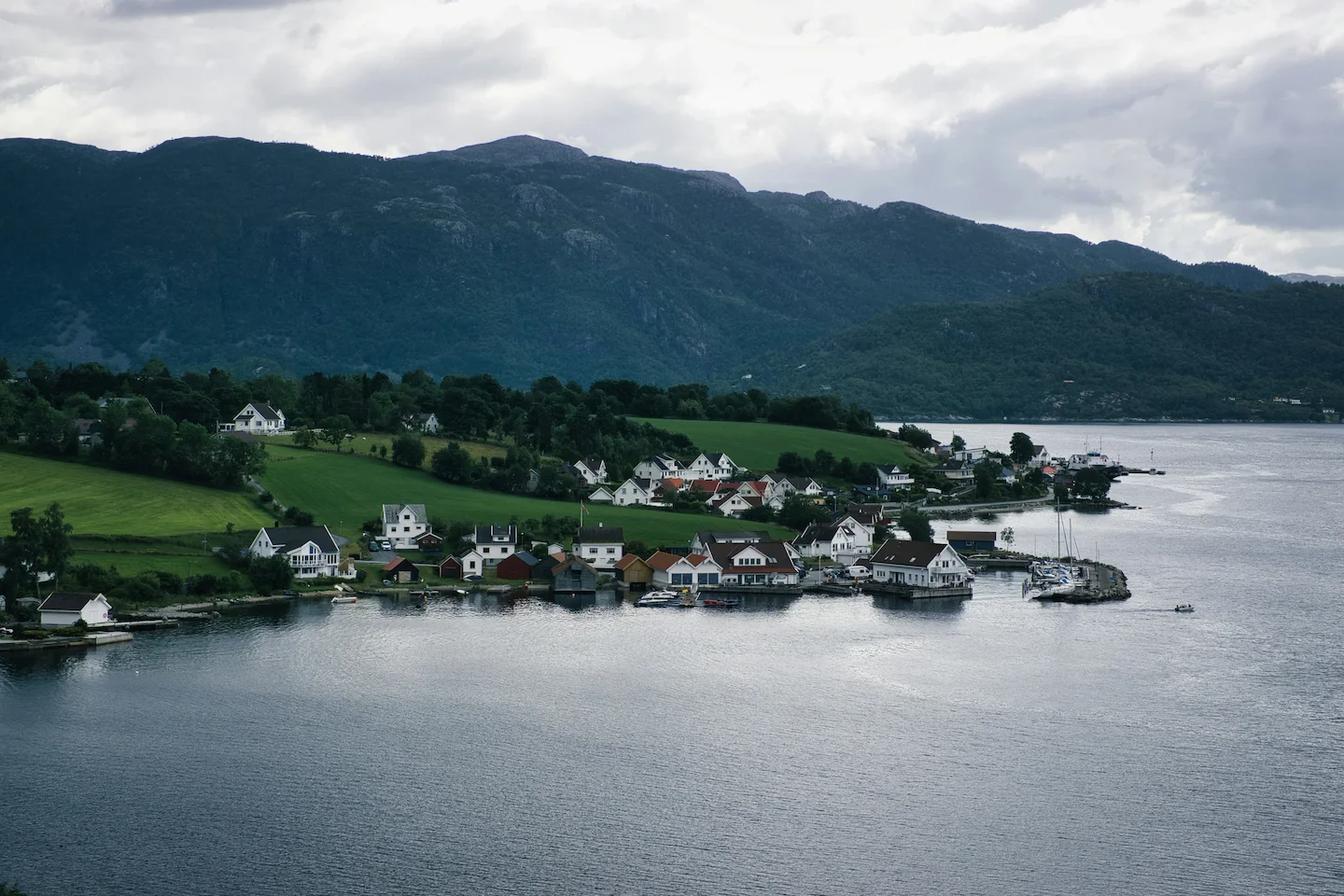 Oslo Fjord Duck Hunting in Norway: Guide for Waterfowl Enthusiasts