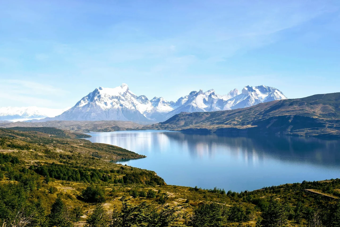 Legislación para cazadores, trofeos de caza, condiciones naturales, la caza en Chile: explorando los terrenos comunitari…