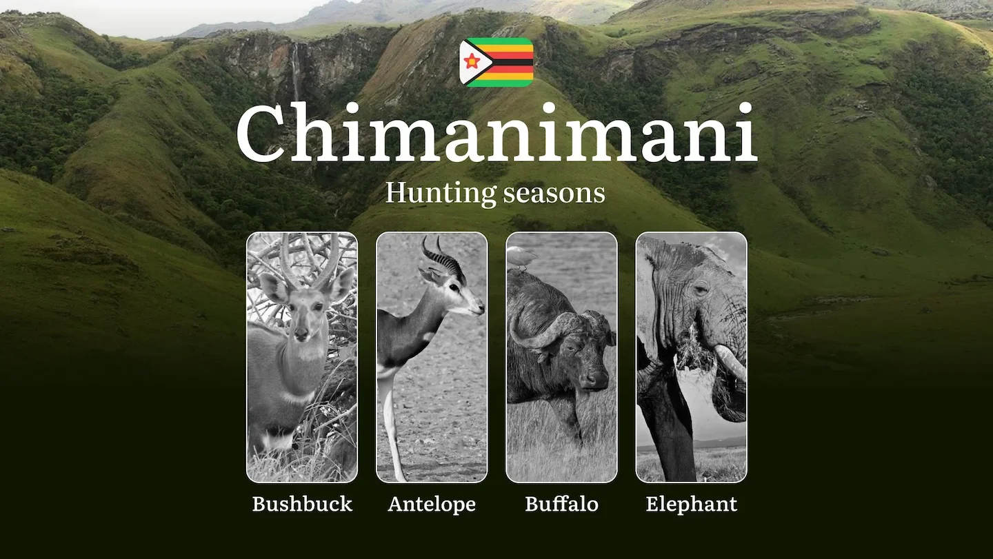 Hunting Dates in CHIMANIMANI, Zimbabwe: Hunting Periods, Bans and Restrictions, Licenses, Rules, Tips for Hunters
