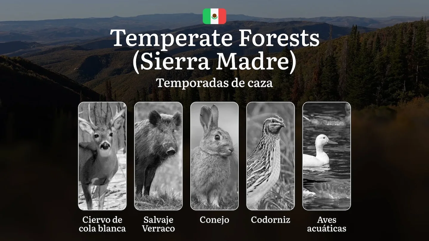 Temporadas y períodos de caza en los Bosques Templados de Sierra Madre: Periodos Legales, Comportamiento de la Fauna y R…