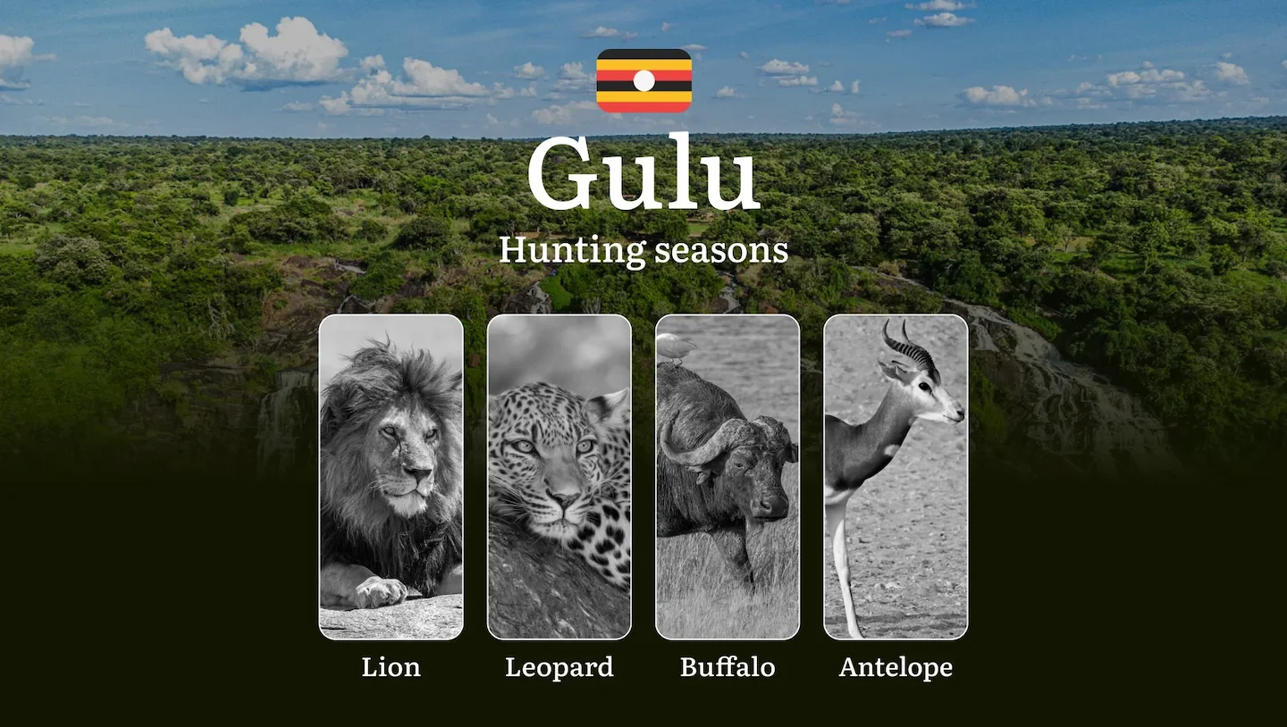 Permitted Hunting Intervals in Gulu: Year-Round Huntable Wildlife, Seasonal Migration of Game, and the Process for Secur…