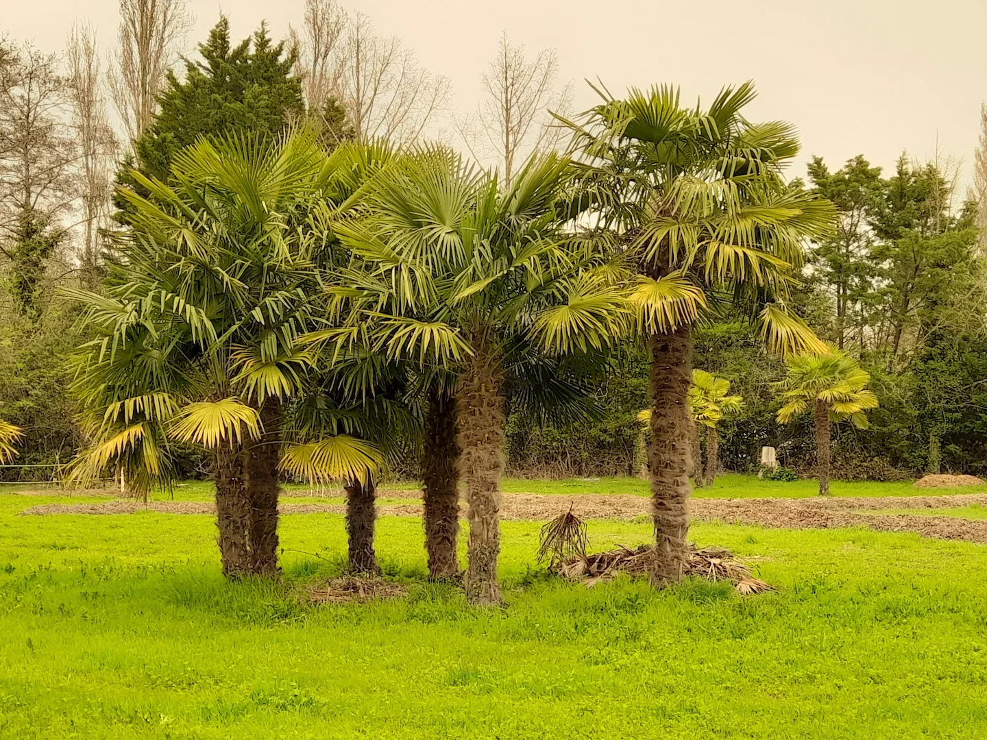 Saint-Louis Hunting Guide: Laws, Demographics Legislation. Birds, Wildlife, and Djoudj National Bird Sanctuary
