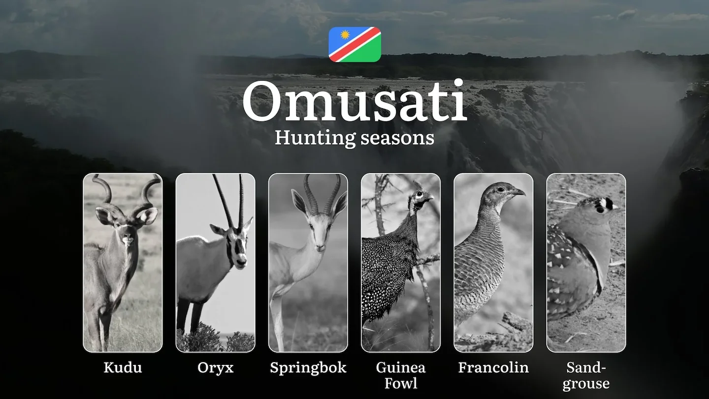 Omusati: Hunting Dates, Species Availability, Seasonal Restrictions, License, Possible Fines, Advice from Hunters, Time…