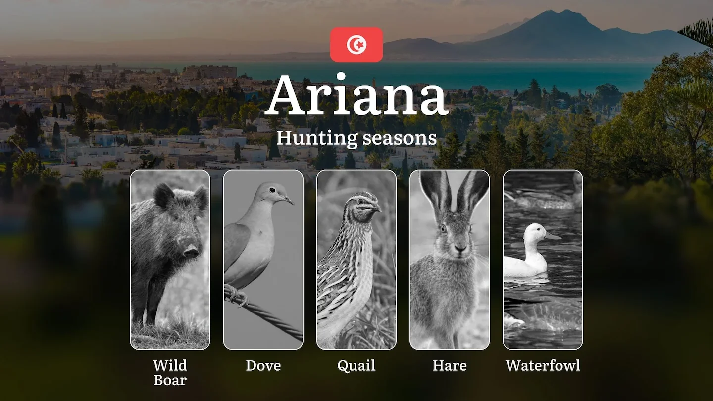 Hunting Seasons in ARIANA: General Rules, Key Periods, Protected Species, Legal Requirements and Tactical Tips