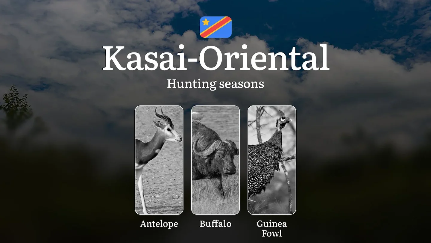 Kasaï-Oriental: Hunting Seasons and Timing, Species Restrictions, Licensing Requirements, Strategic Advice on Timing and…