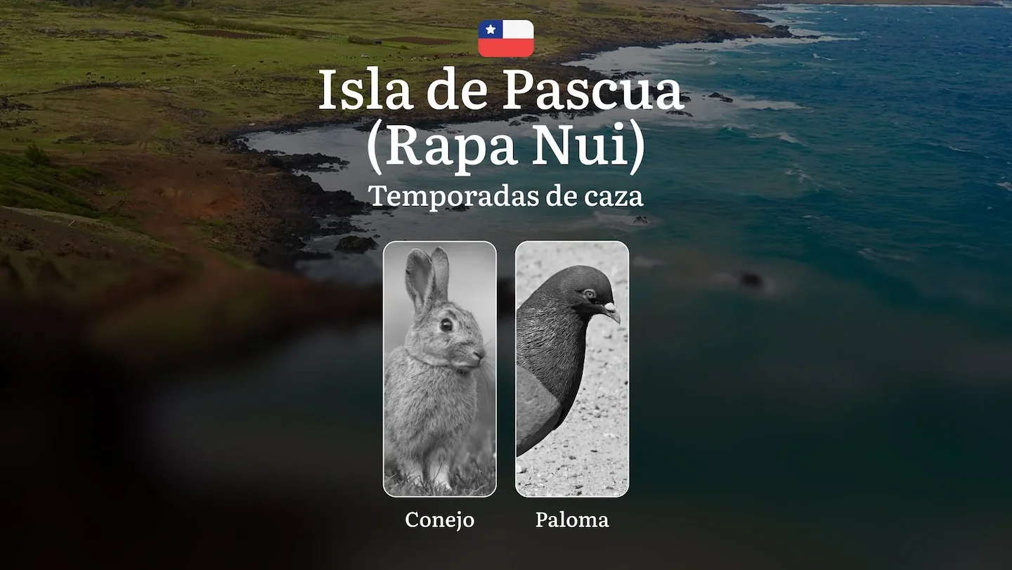 Fechas de caza en Chile en la Isla de Pascua (Rapa Nui): épocas de caza, permisos, normativas y mejores periodos para la…