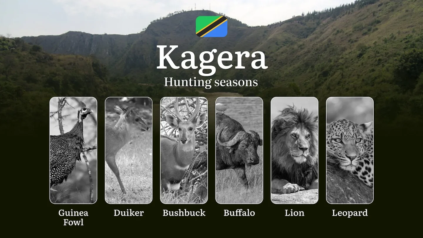Kagera: Hunting Timeframes, Species and Seasonal Bans, Participating in the Hunt, Getting Licensed, Penalties That May S…