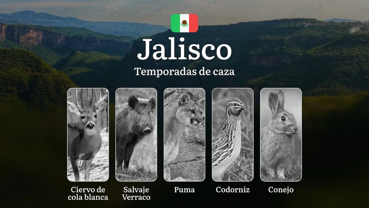 Temporadas y períodos de caza en Jalisco: Periodos Legales, Especies y Recomendaciones para Cazadores