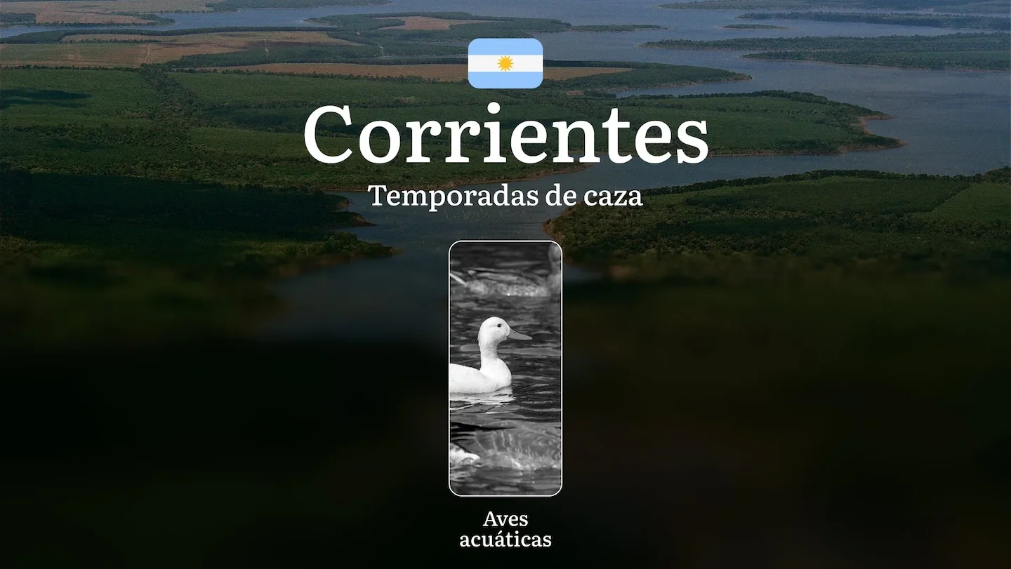Temporadas de caza en la provincia de Corrientes, Argentina: fechas, reglas, licencias y tácticas, prohibiciones y límit…
