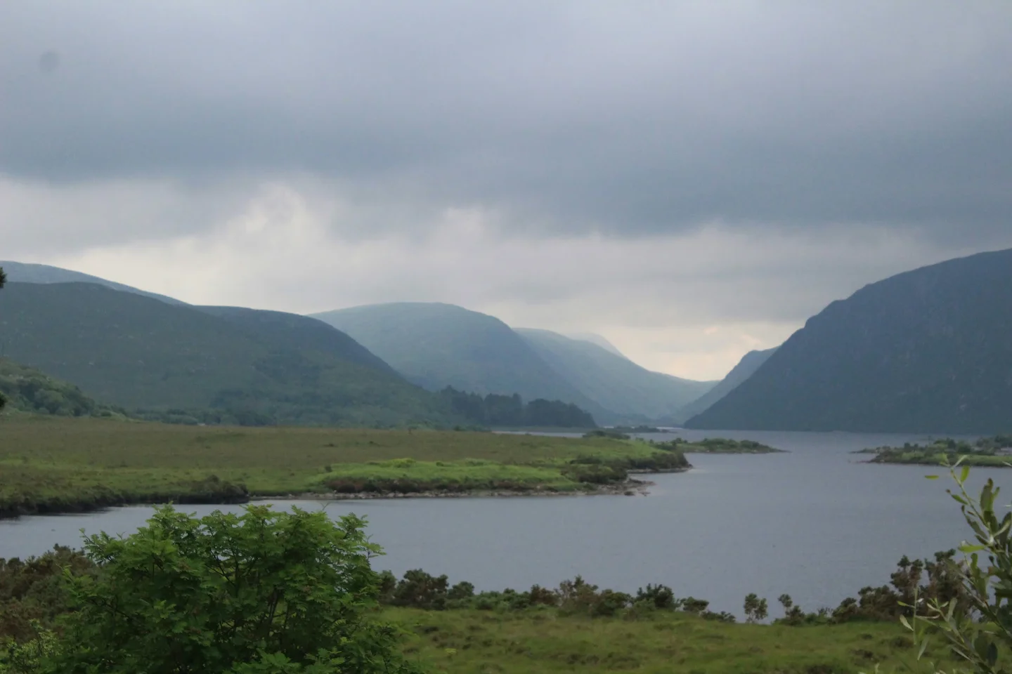 Slieve Bloom Mountain Hunting in Ireland: A Hunter's Guide to the Hidden Pearl