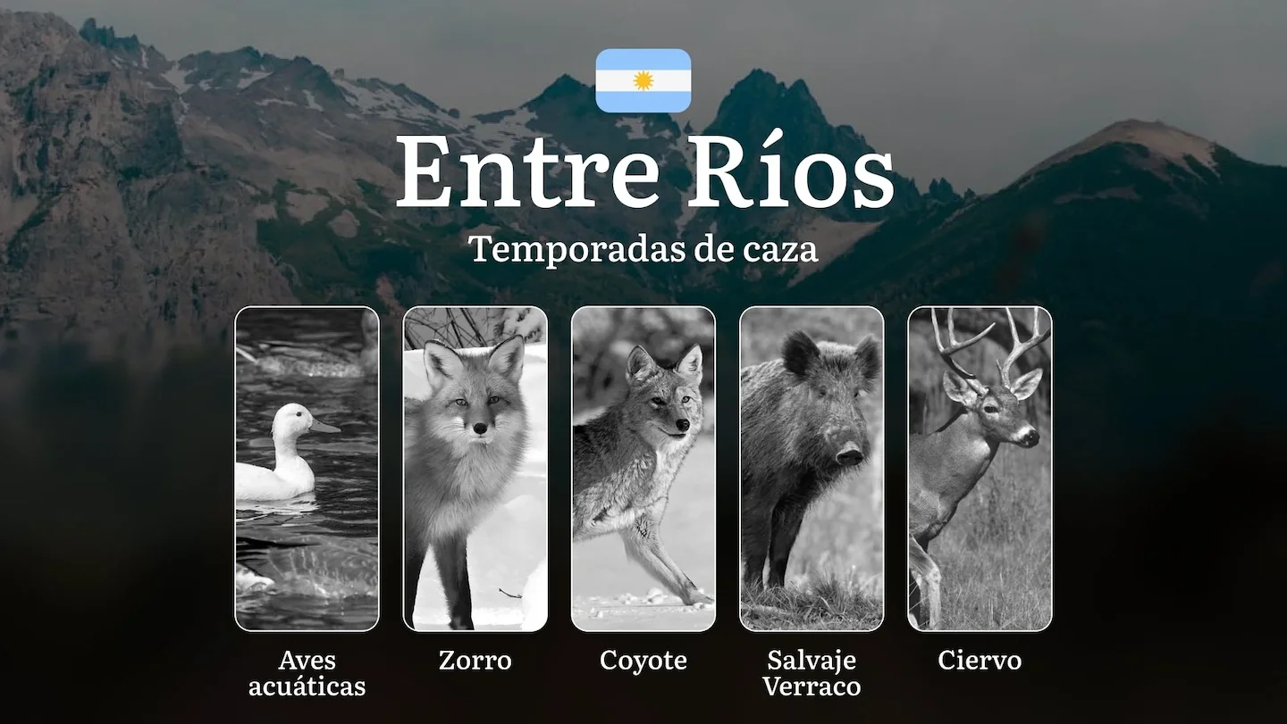 Temporadas de caza, plazos y normas de caza en la provincia de Entre Ríos, Argentina: lo que todo cazador debe saber