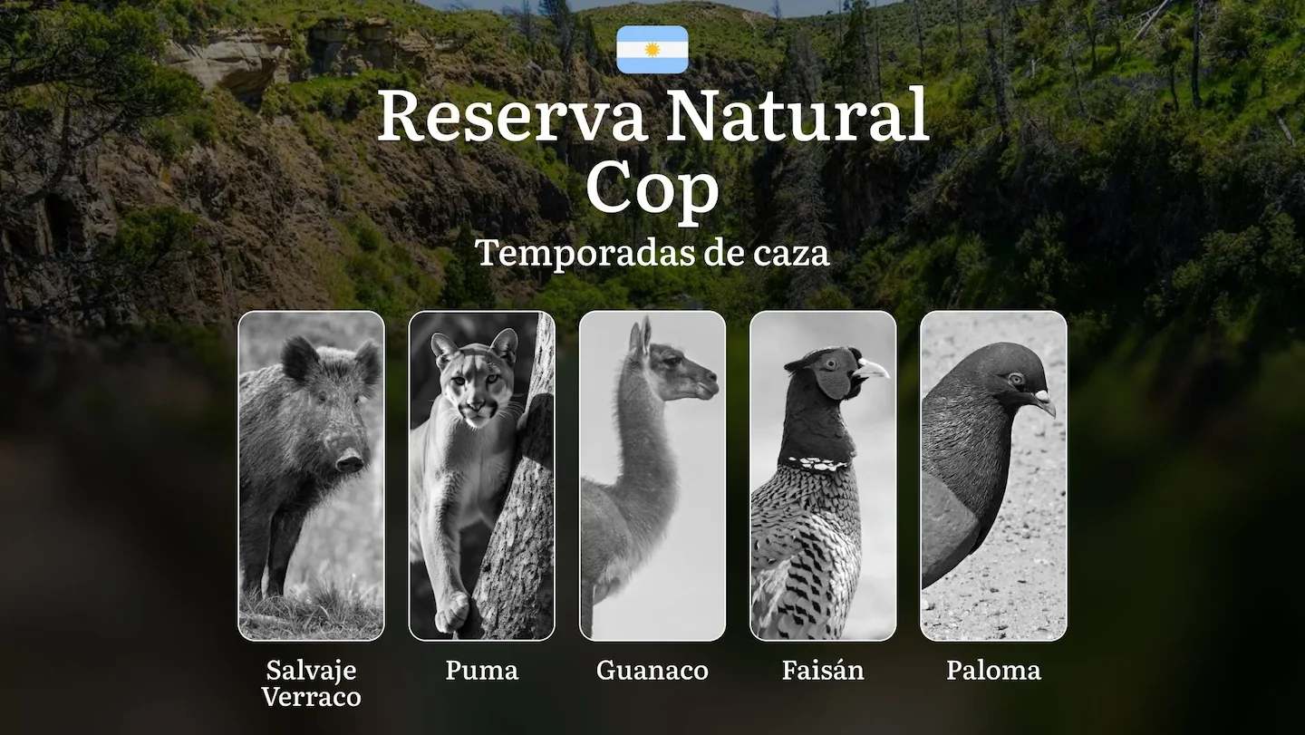 Argentina: la Reserva Natural Cop y sus particularidades, normas generales y temporadas, una licencia de caza, horario,…
