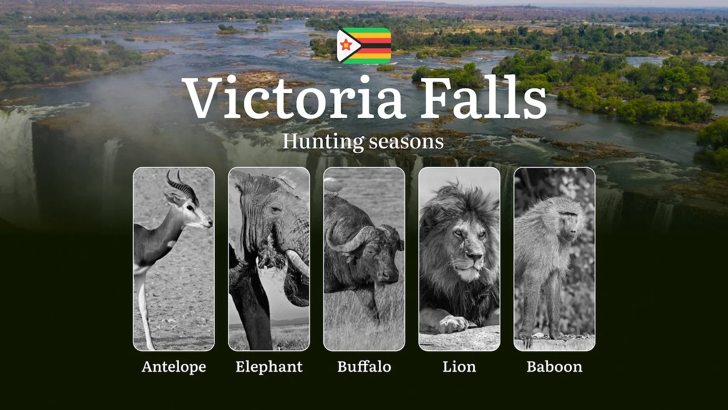 Hunting Seasons in Zimbabwe, VICTORIA FALLS Region: Hunting Dates and Periods, Licenses, Rules and Times for Hunting, Ti…