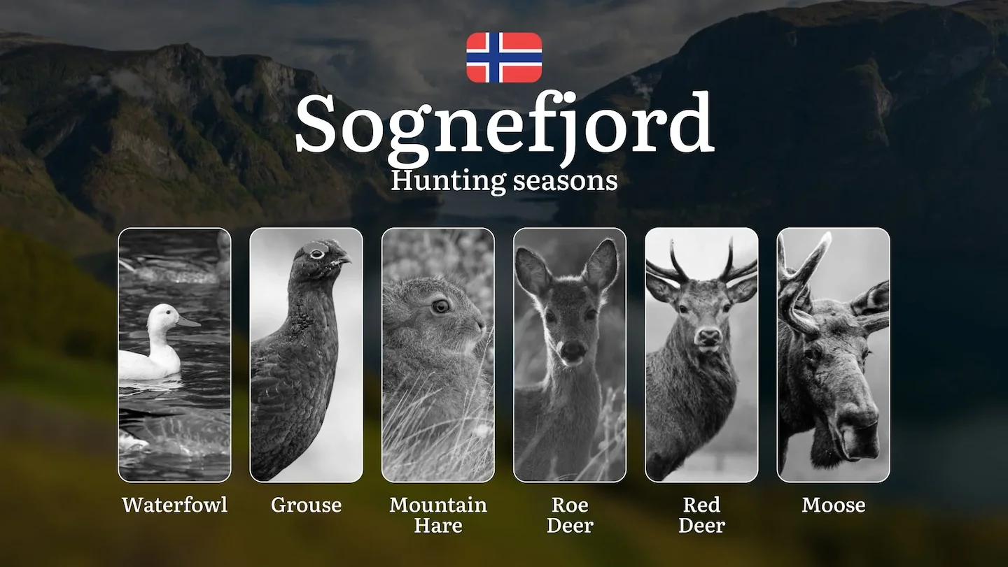 Hunting Dates in Sognefjord: Seasonality of Hunting, Timing and Regulations, Hunting Permits, Restrictions and Prohibiti…