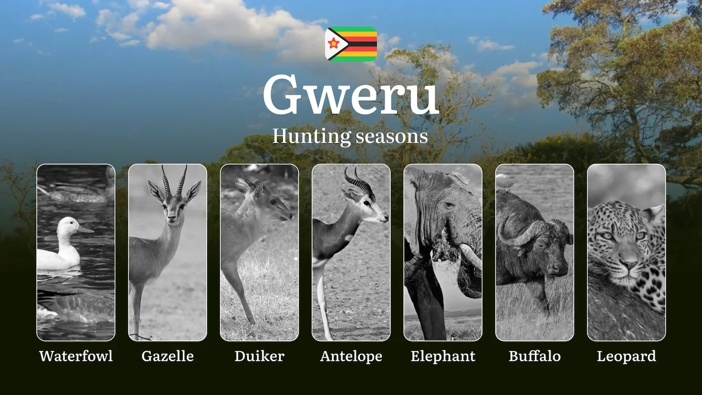 Seasons of Hunting in Zimbabwe, GWERU Region: Hunting Periods, Licenses, Rules and Times, Hunting License and Tips for H…