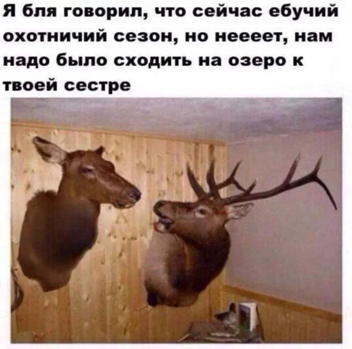 Охота дикая добавил(-а) 1 фото