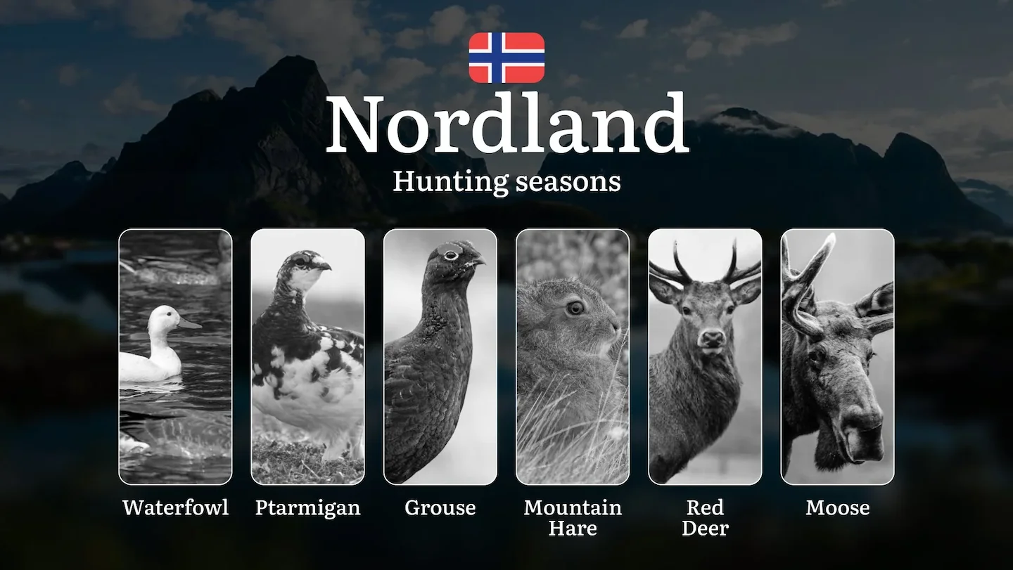 Hunting Dates in Nordland: Seasonality of Hunting, Timing and Regulations, Hunting Permits, Restrictions and Prohibition…