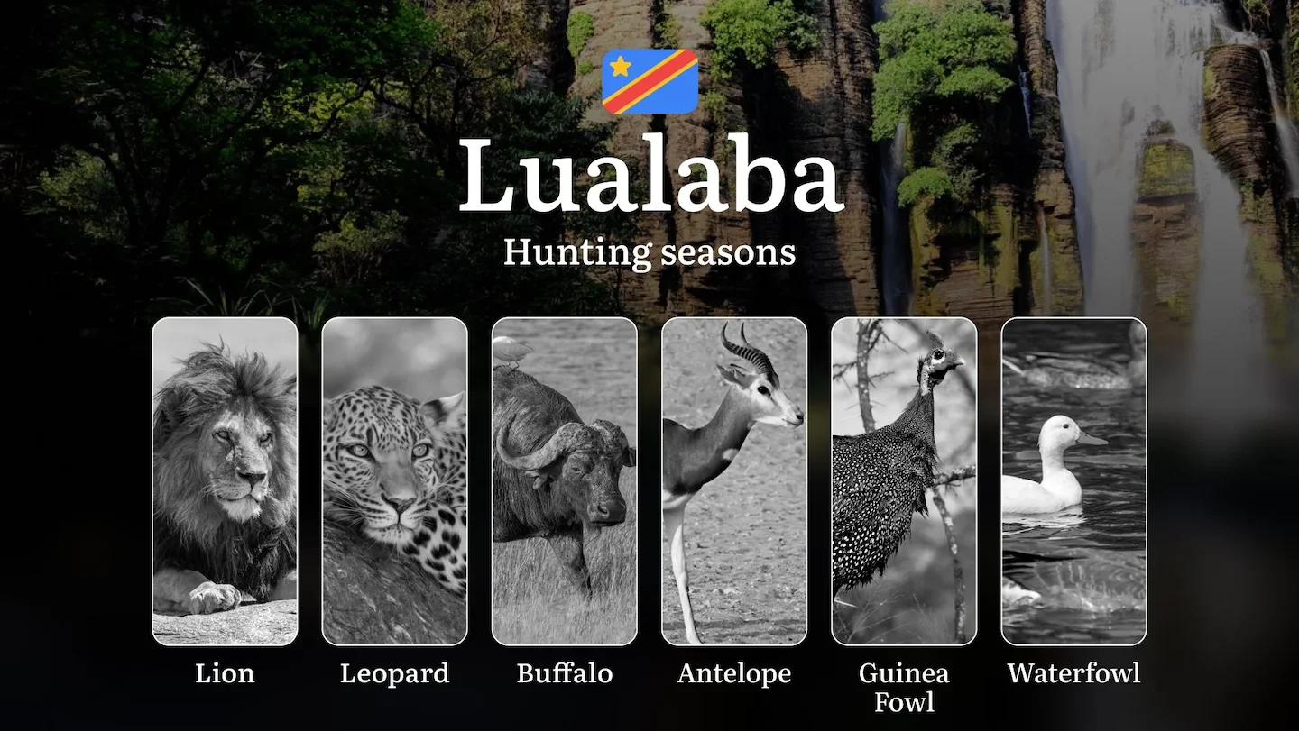 Hunting Calendar for Lualaba Province: Regional Hunting Rules, Licensing Procedures, Off-Season Violation Penalties, and…