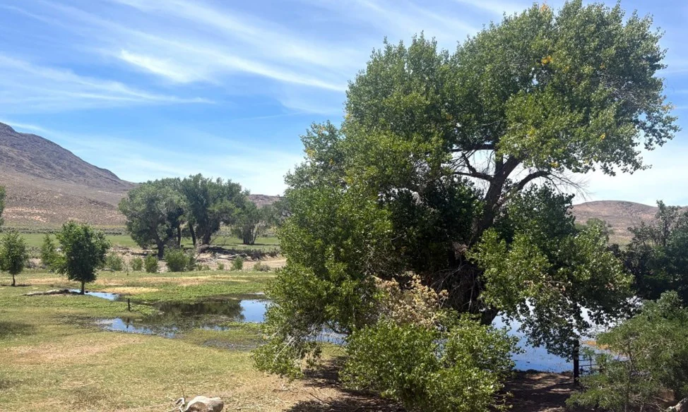 Nevada New State Park Hunt Fish Access | Carson River Waterfowl Hunting Break-A-Heart Ranch