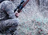 Delaware Coyote Hunting Regulations 2026: Year-Round Season & New Rules Explained