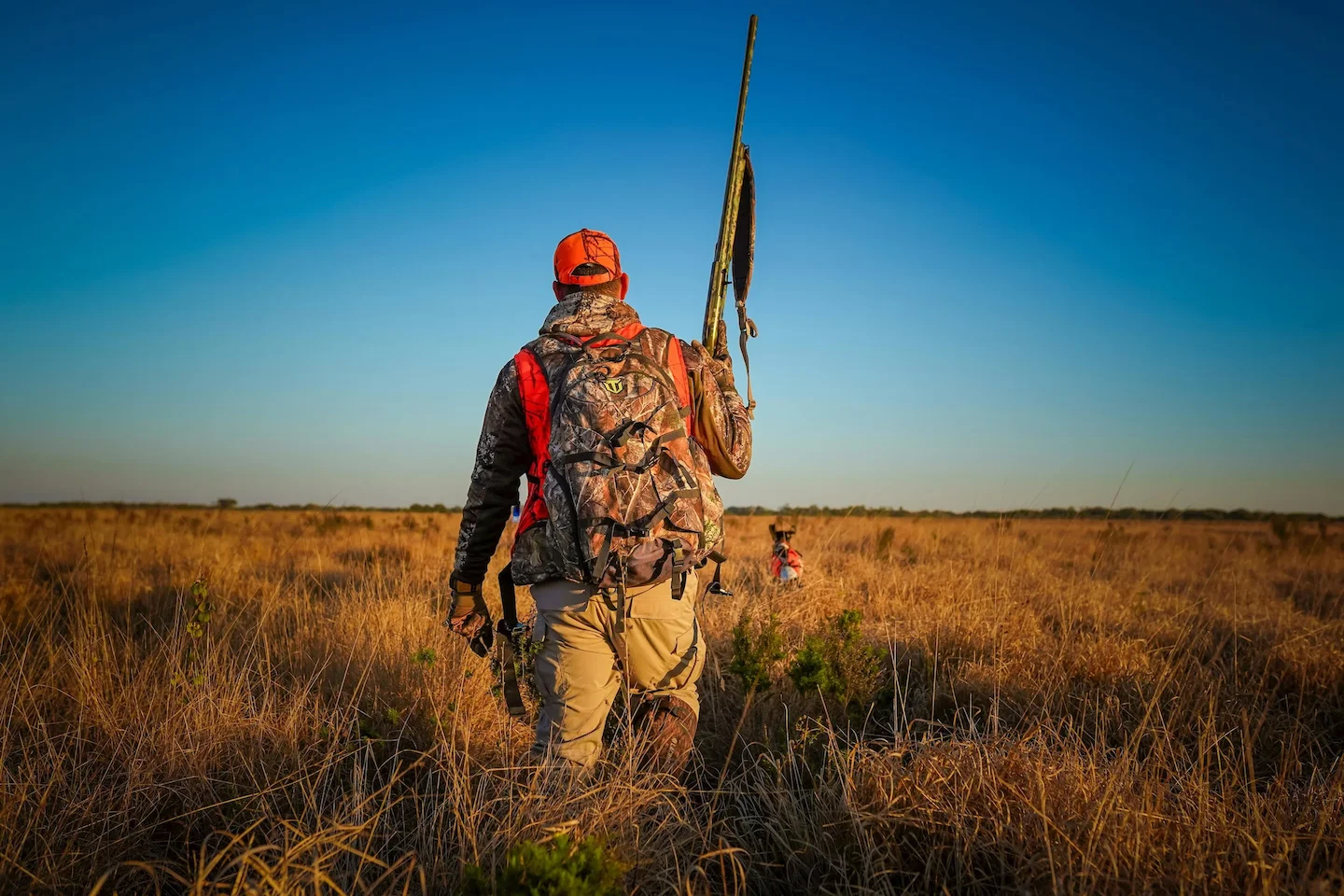 Jagd Österreich: Hohe Akzeptanz und Fakten 2026