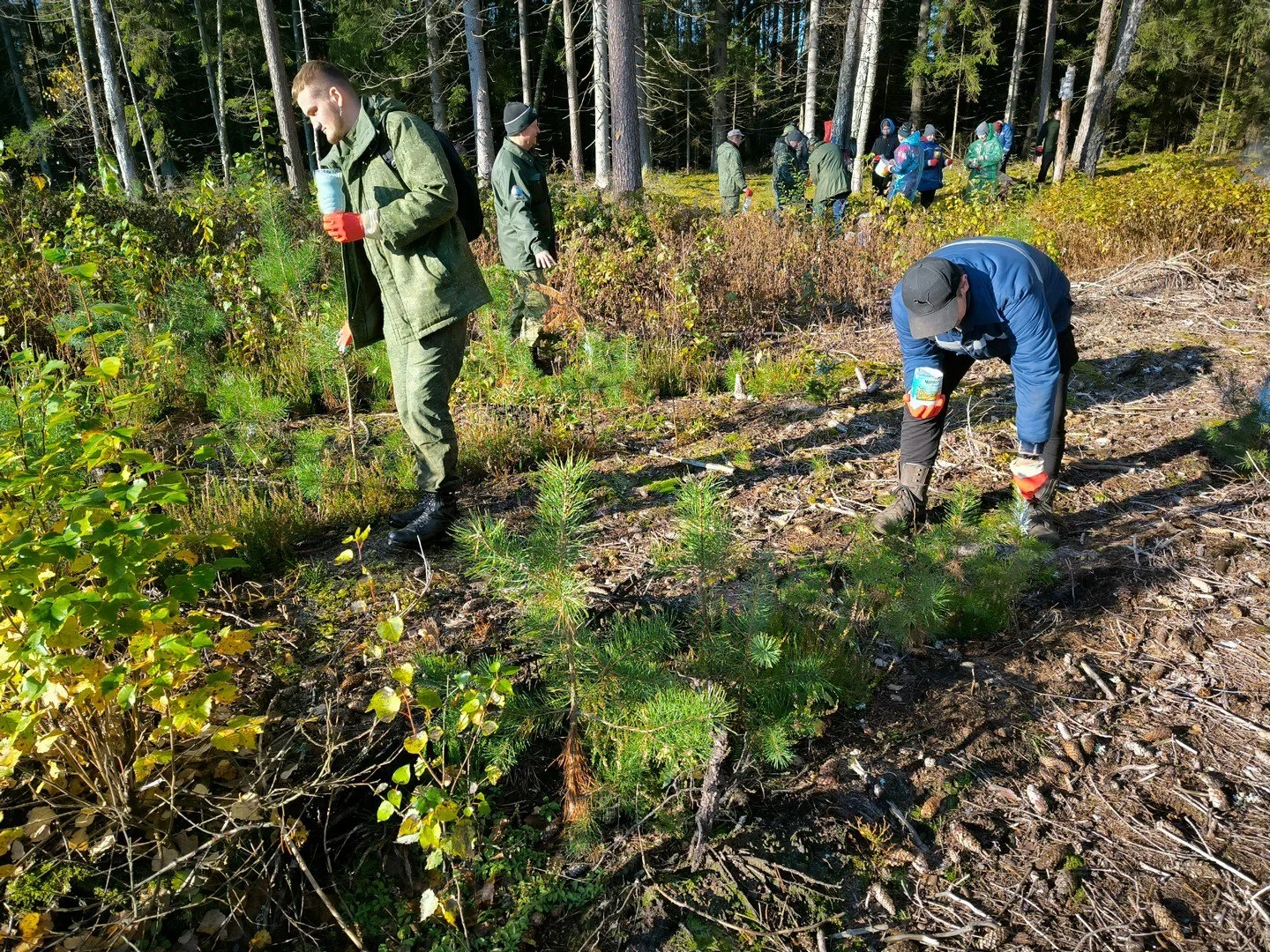 Wildverbissschutzmittel: Keine Aufzeichnungspflicht für Jäger 2026