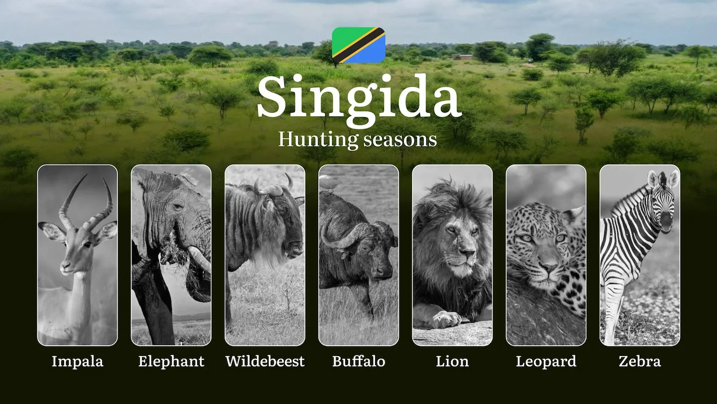Designated Hunting Months in Singida: Regional Guidelines, Hunting License Application Process, Penalties for Off-Season…