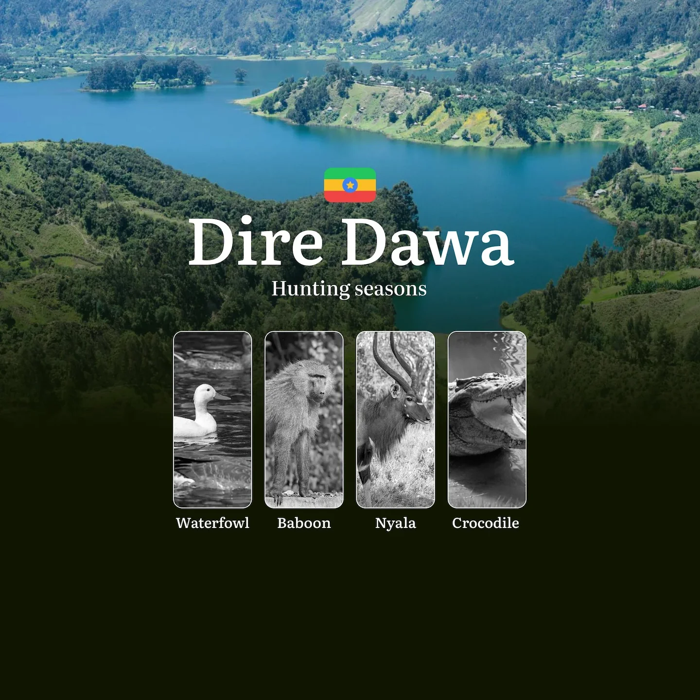 Seasons of Hunting in DIRE DAWA, Ethiopia: Hunting Periods, Opening and Closing Dates, Licenses, Rules and Times for Hun…
