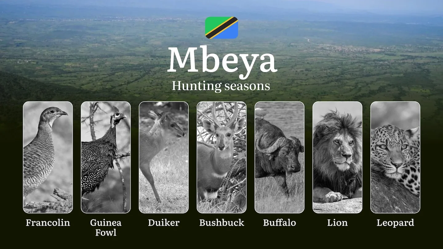 Hunting Calendar for Mbeya: Prime Times for Big and Small Game, Restricted Areas, Regulations and Exemptions, Obtaining…