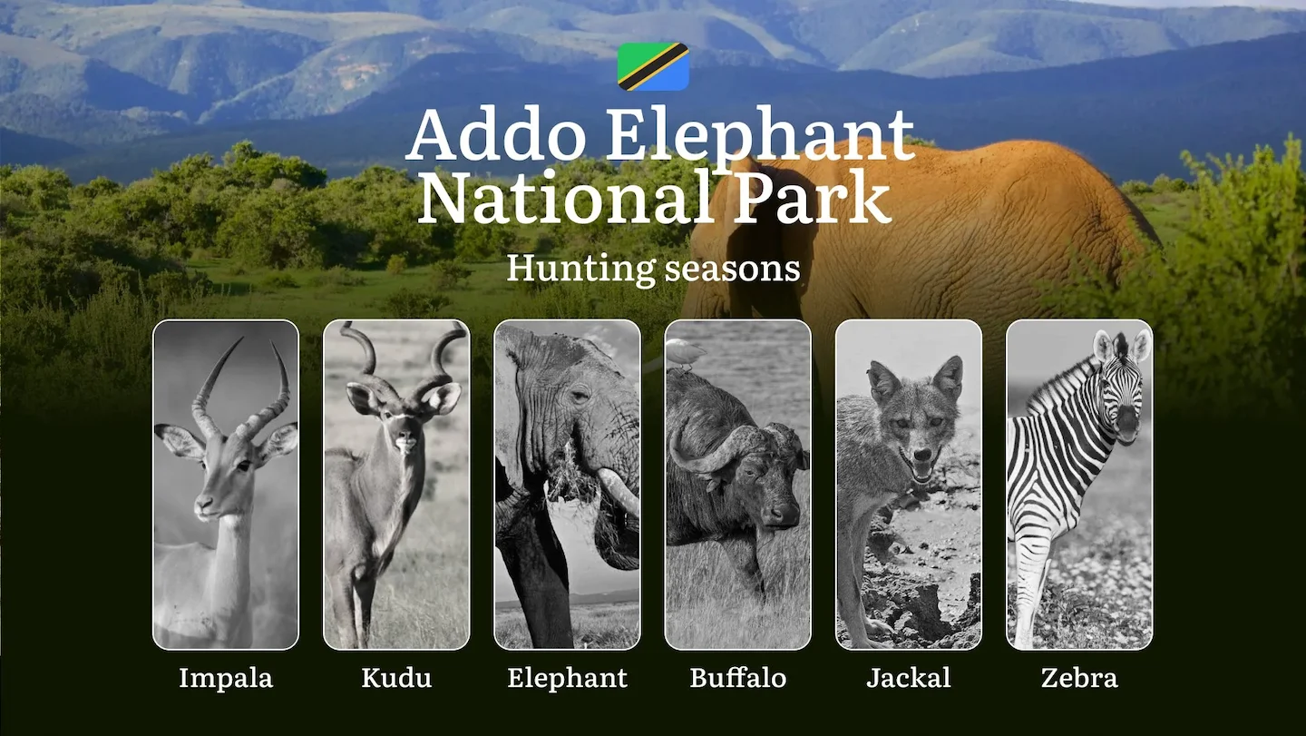 Hunting Timing in South Africa: Periods of Hunting and Natural Features of Addo Elephant National Park, Tips and Restric…
