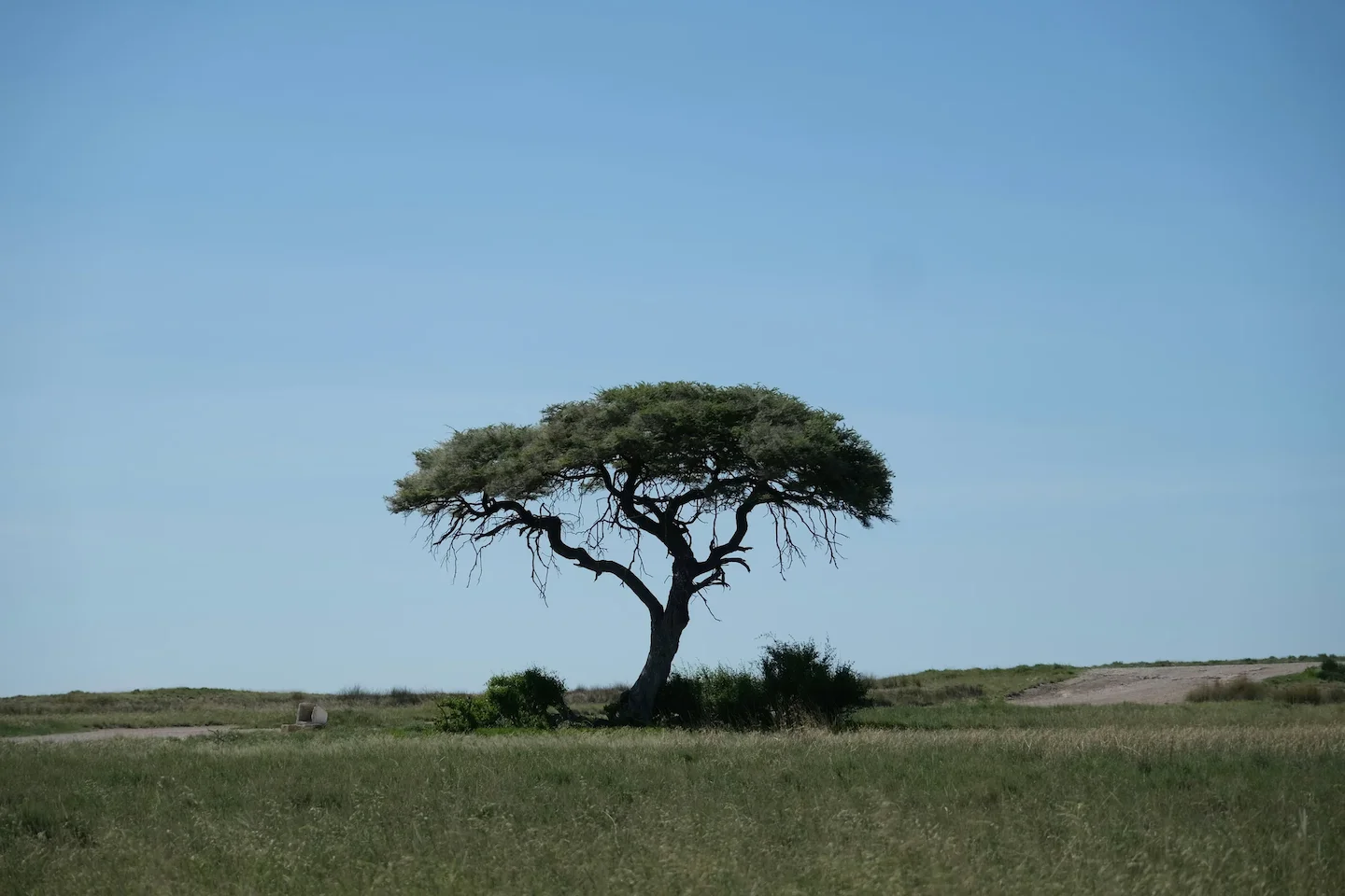 Hunting Equipment Markets in Bamako – Seasons, Clubs, Geography