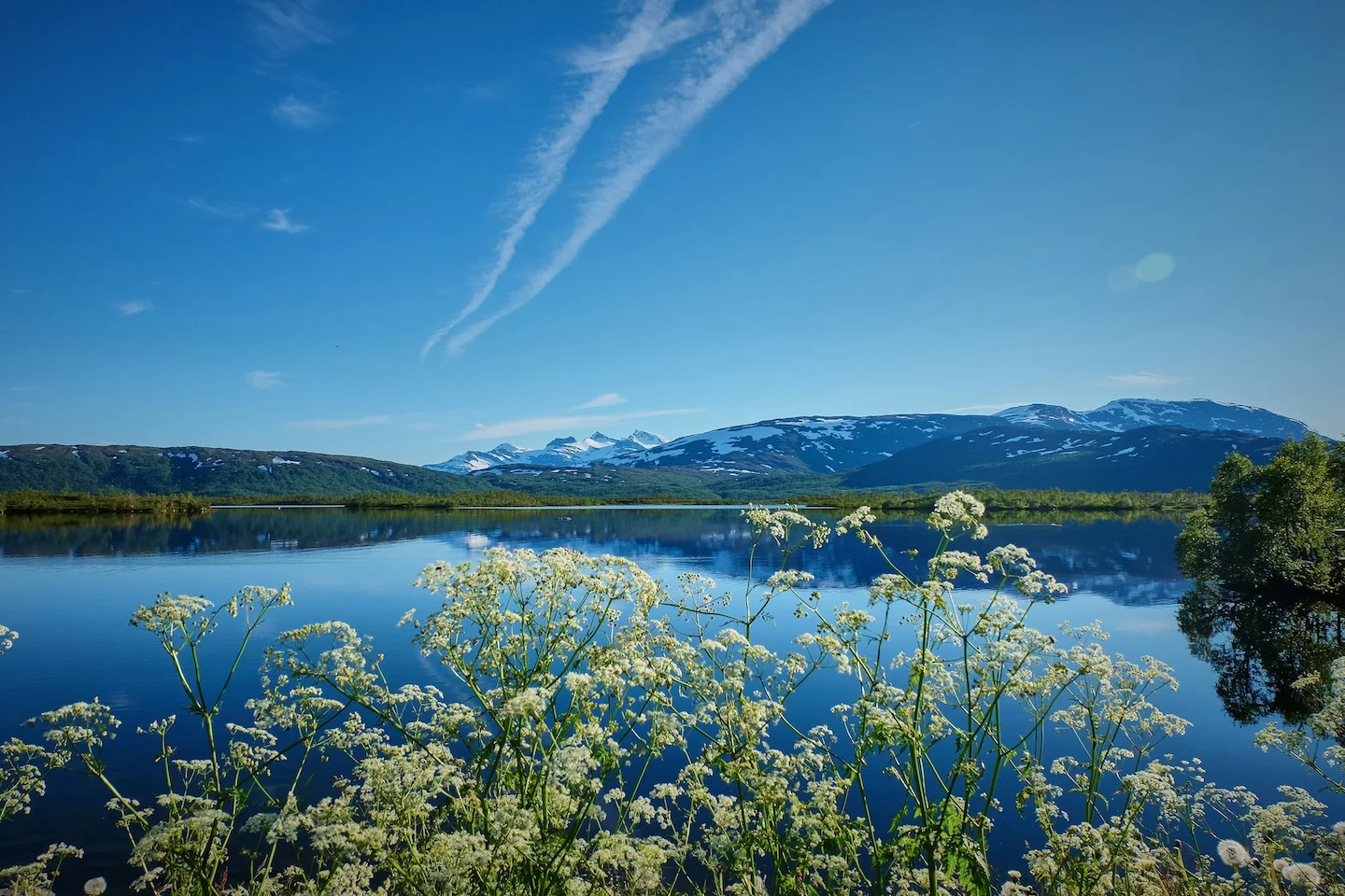 Hunting in the Stockholm Archipelago: The Ultimate Guide for Hunters on Seasons, Species, and Essential Tips for Hunt in…