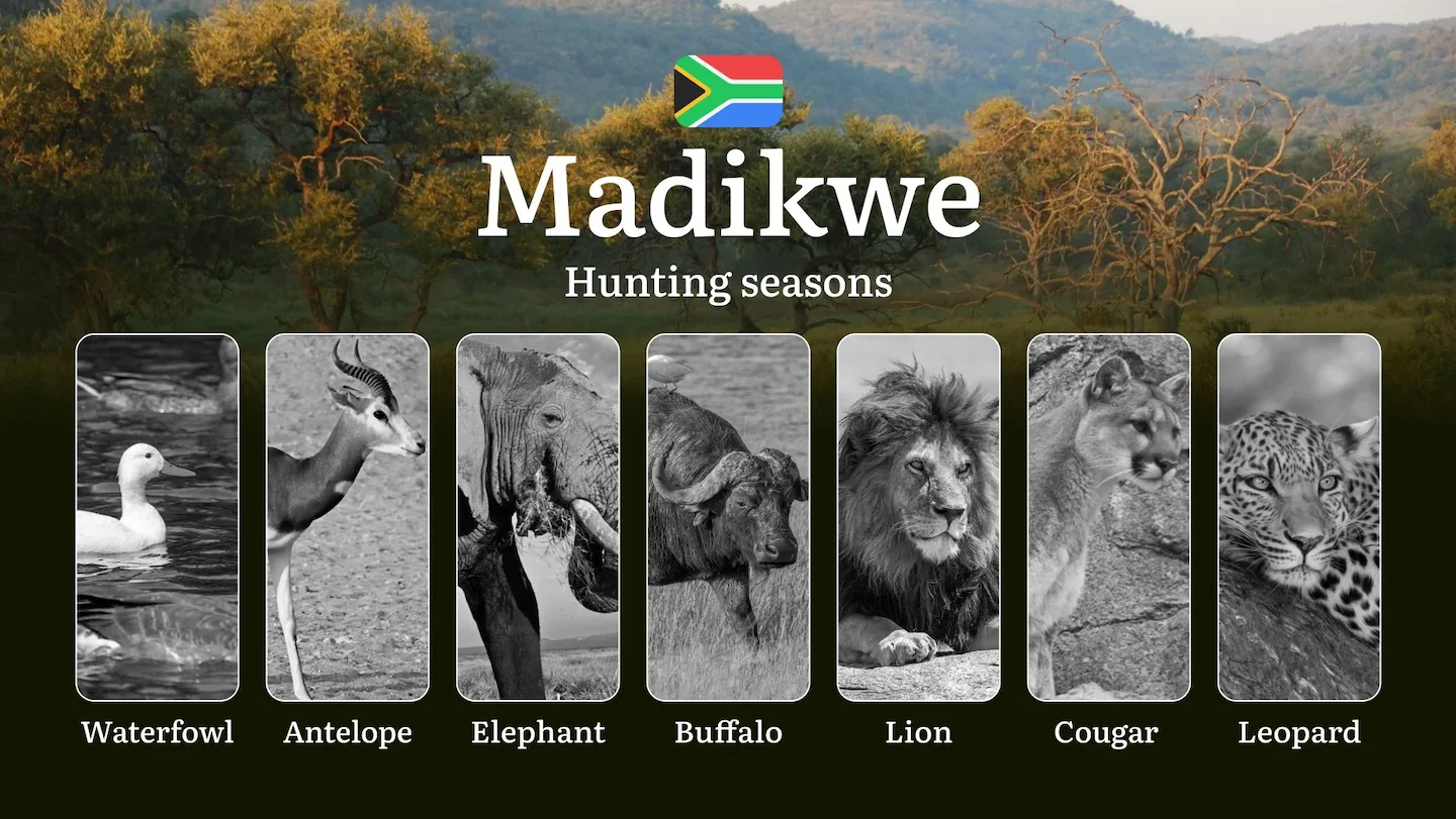 Hunting Dates in South Africa: The Madikwe Region and Seasonal Nuances, Periods and Time, Limits and Rules, Restrictions…