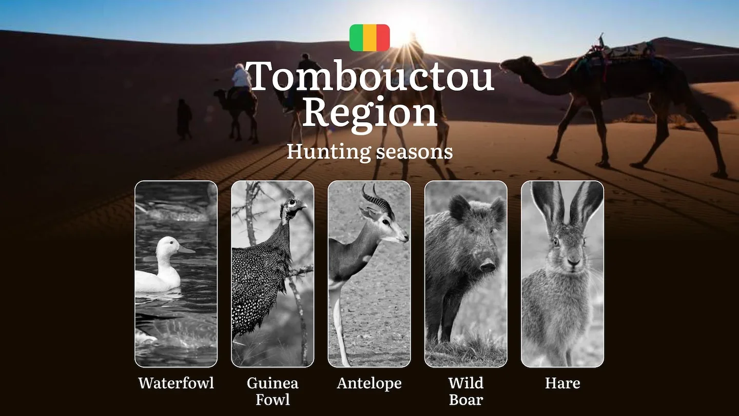 Tombouctou Region: Official Hunting Periods, Legal Limits and Seasonal Bans, Licensing Requirements, Fines and Legal Con…