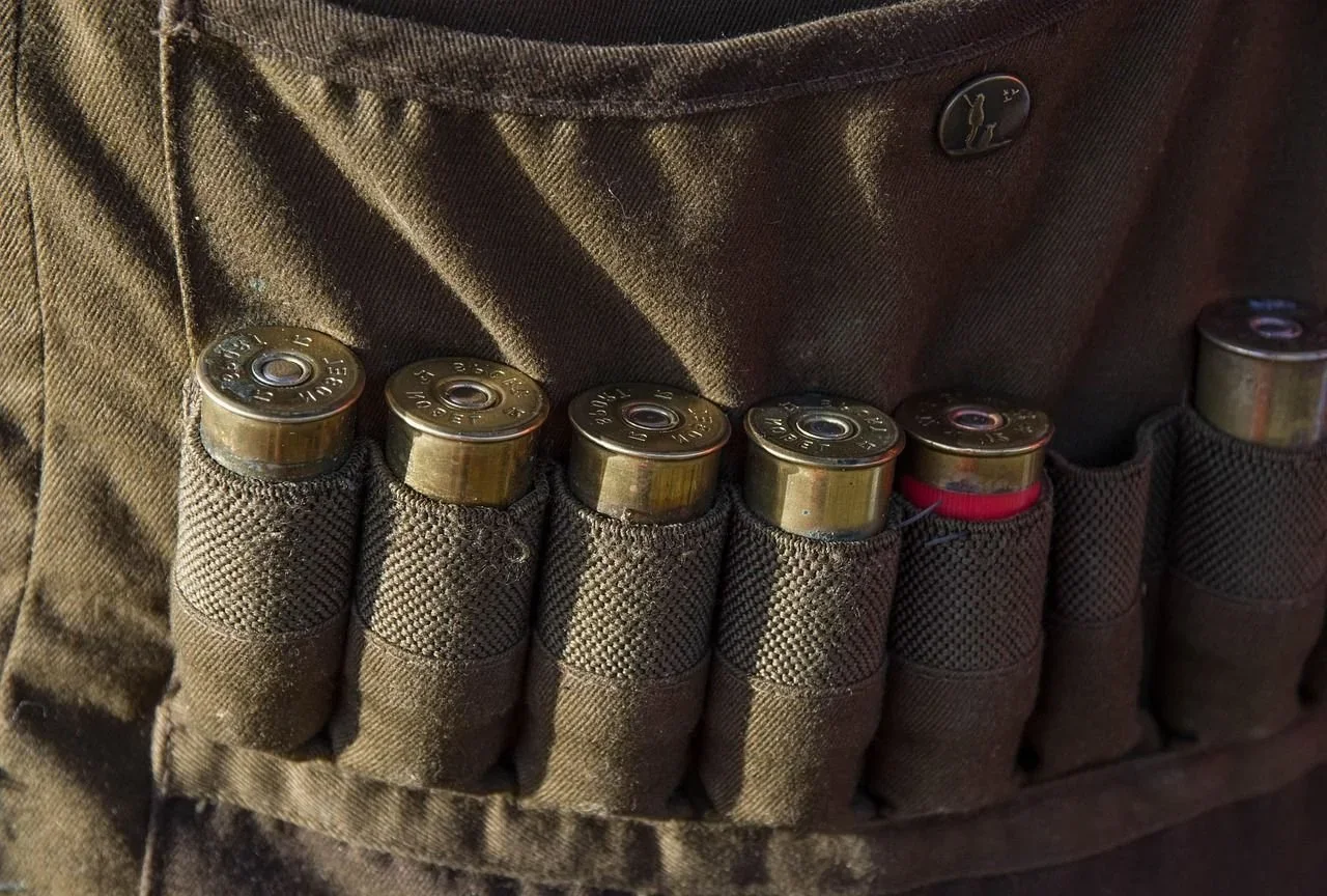 Illegal Hunting of Large Carnivores in Finland: Laws, Enforcement and Real Risks for Hunters