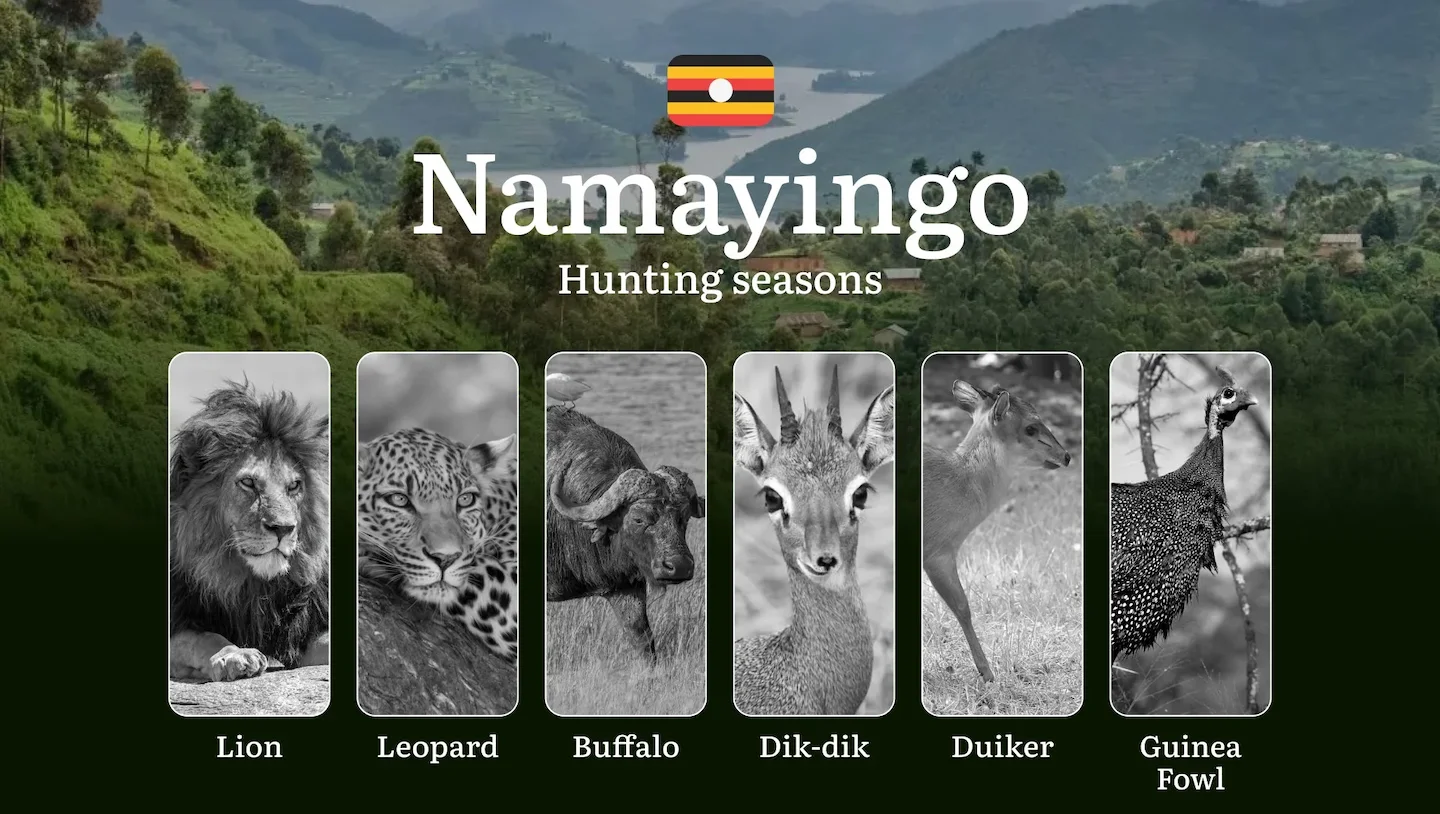 Permitted Hunting Intervals in Namayingo: Year-Round Huntable Wildlife, Seasonal Migration of Game, and the Process for…
