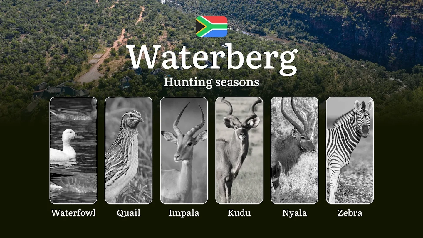 Seasons of Hunting in South Africa’s Waterberg Region: Hunting Periods, Openings, Closings, Licenses, Rules, and Times f…