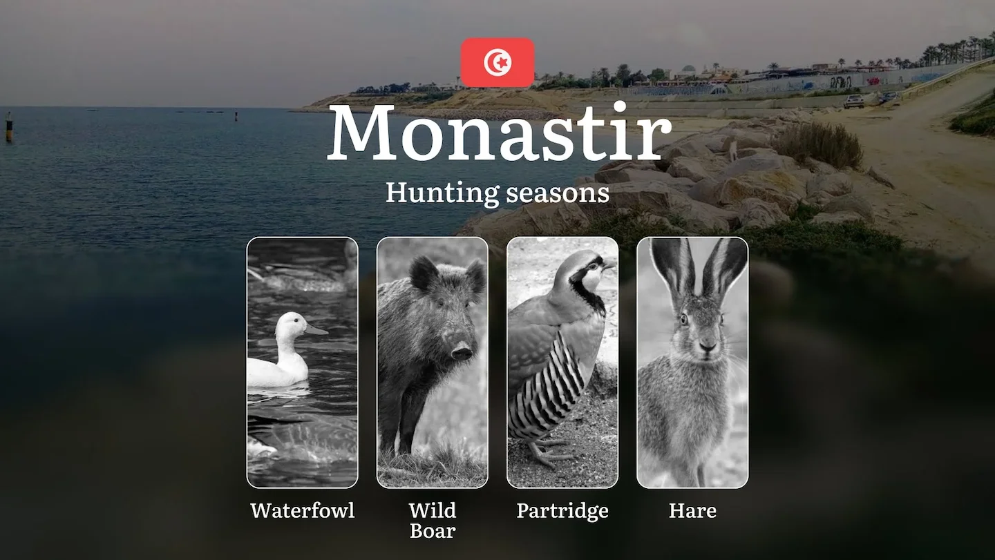 Hunting Seasons in MONASTIR: Full Season Calendar, Licensing Information, Practical Recommendations, Protected Species,…