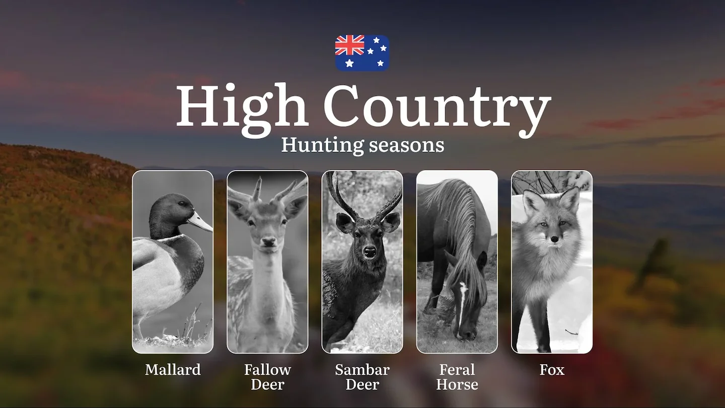 High Country Hunting Calendar: Mastering Alpine Seasons for Sambar, Deer and Mountain Game