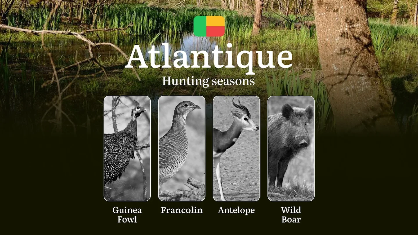Seasons of Hunting in the ATLANTIQUE Region, Benin: Timing and Hunting Seasons, Protected Species and Restrictions, Lice…