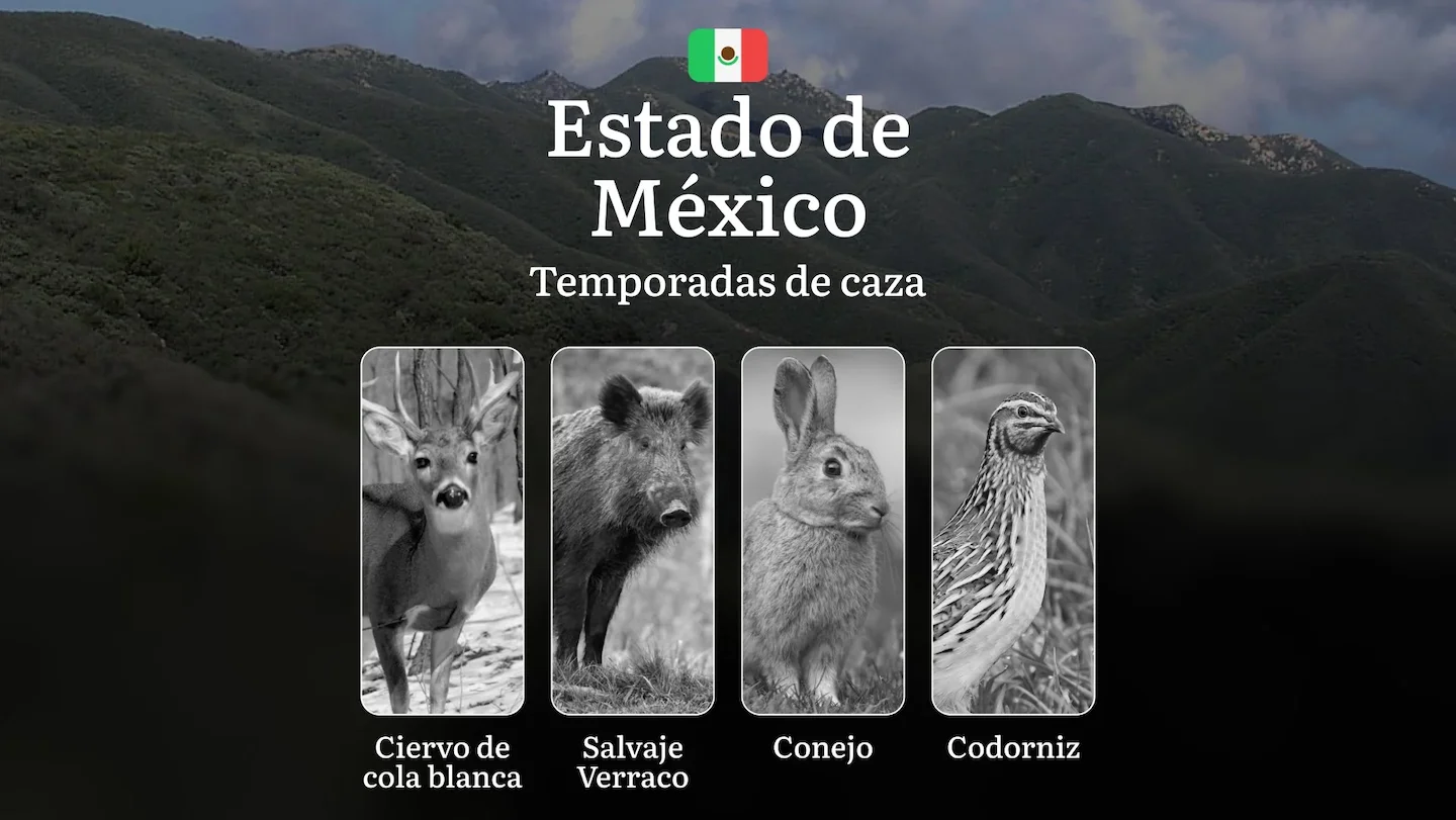 Temporadas y períodos de caza en el Estado de México: Periodos Legales, Comportamiento de la Fauna y Requisitos para la…