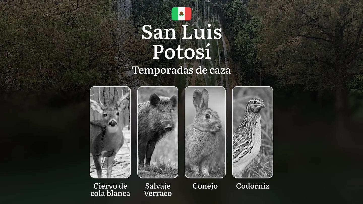 Temporadas y períodos de caza en San Luis Potosí: Patrones Estacionales y Regulaciones, Cómo Obtener un Permiso en la Re…