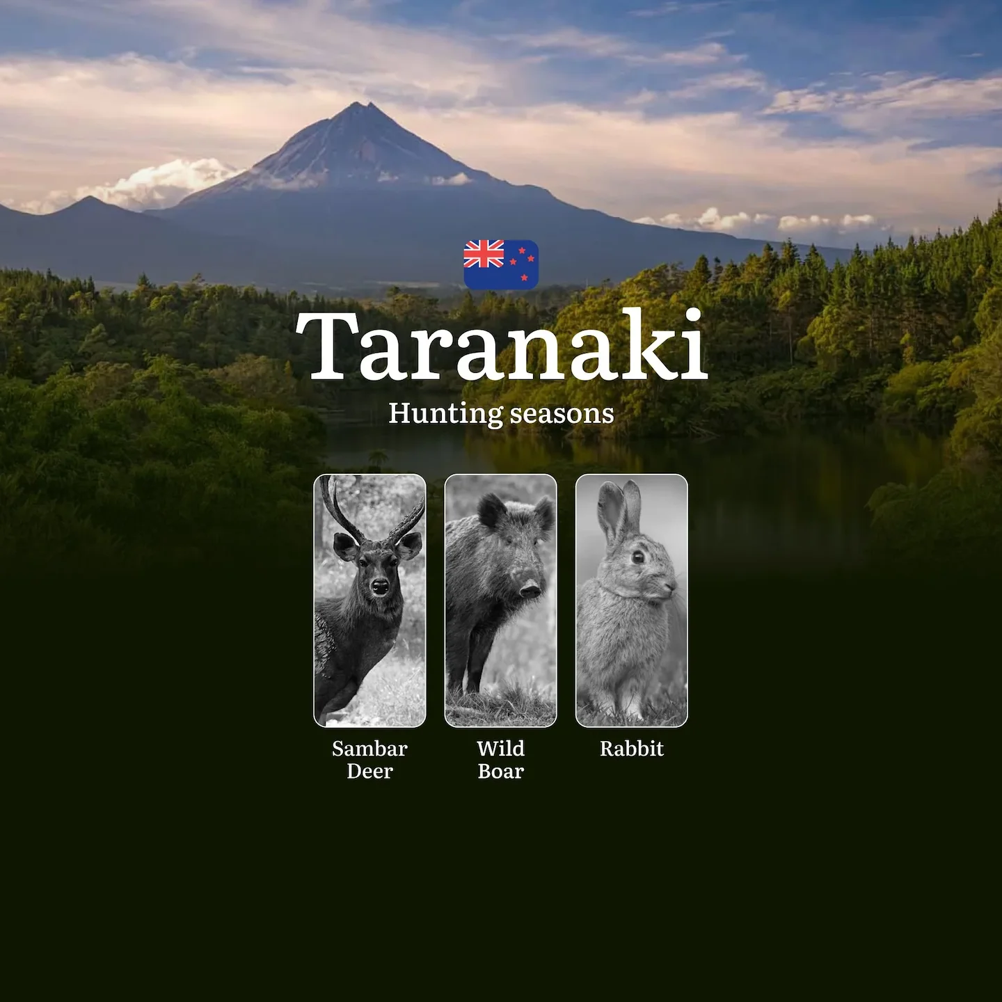 Hunting Seasons in New Zealand: TARANAKI Region Overview – Seasons, Open and Close Dates, Licenses, Rules, and Best Time…