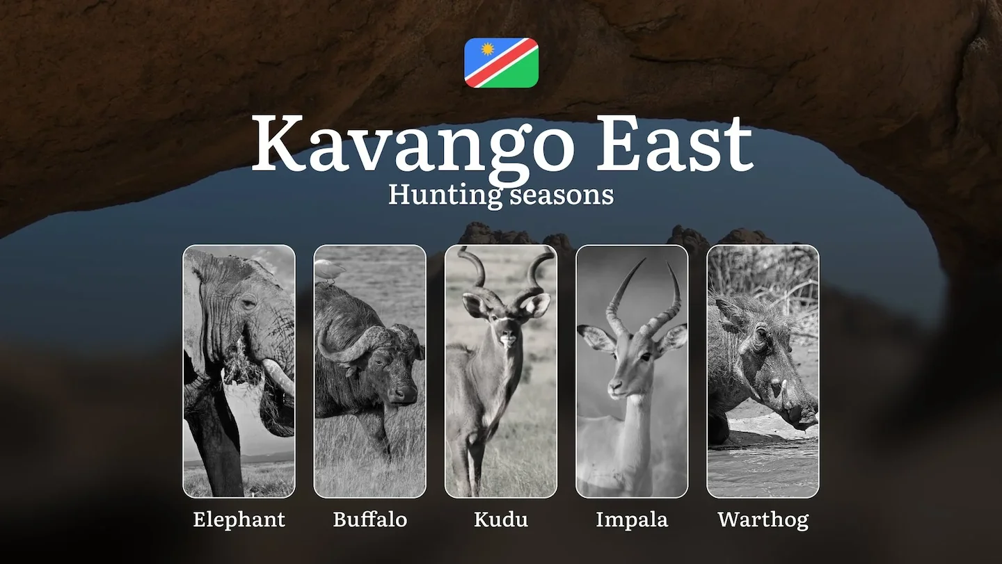 Hunting Access Dates in Kavango East: Hunting Limits by Law and Season, Licensing Details, Penalties for Rule Breaking,…
