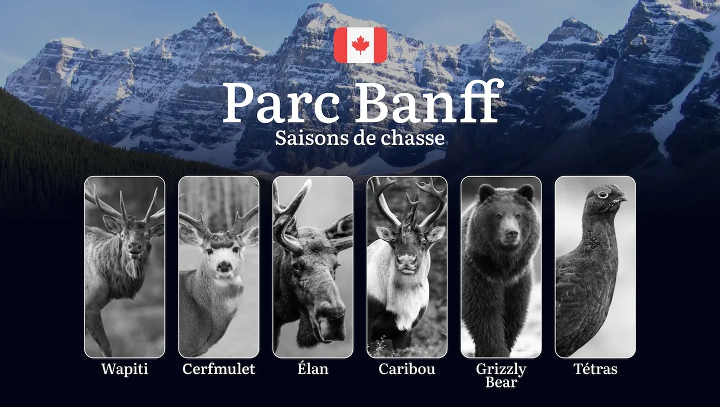 Les périodes de chasse dans le PARC NATIONAL BANFF: saisons d'ouverture, particularités réglementaires uniques et straté…