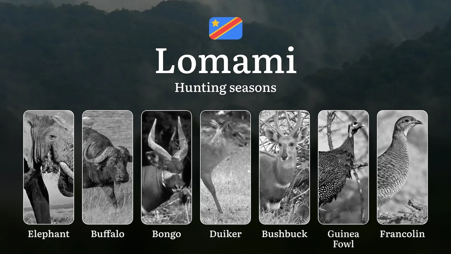 Hunting Seasons in Lomami Province: Permitted Seasons, Temporary Prohibitions, Licensing Regulations, Penalties for Infr…