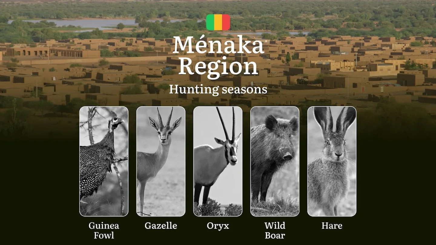 Hunting Season Dates in Ménaka Region: Hunting Periods, Species and Season Bans, Joining the Hunt, Getting Licensed, Pen…