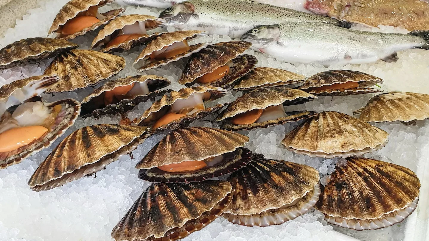 Aysén: Interceptan embarcación con 6 toneladas de mariscos extraídos ilegalmente