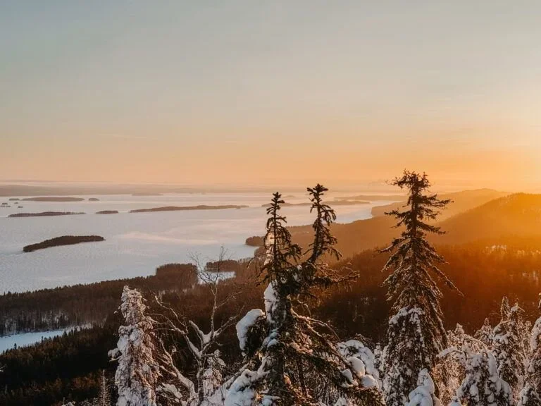 Koli National Park Hunting: Guide: Seasons, Clubs, Legislation, Communities and Local Traditions